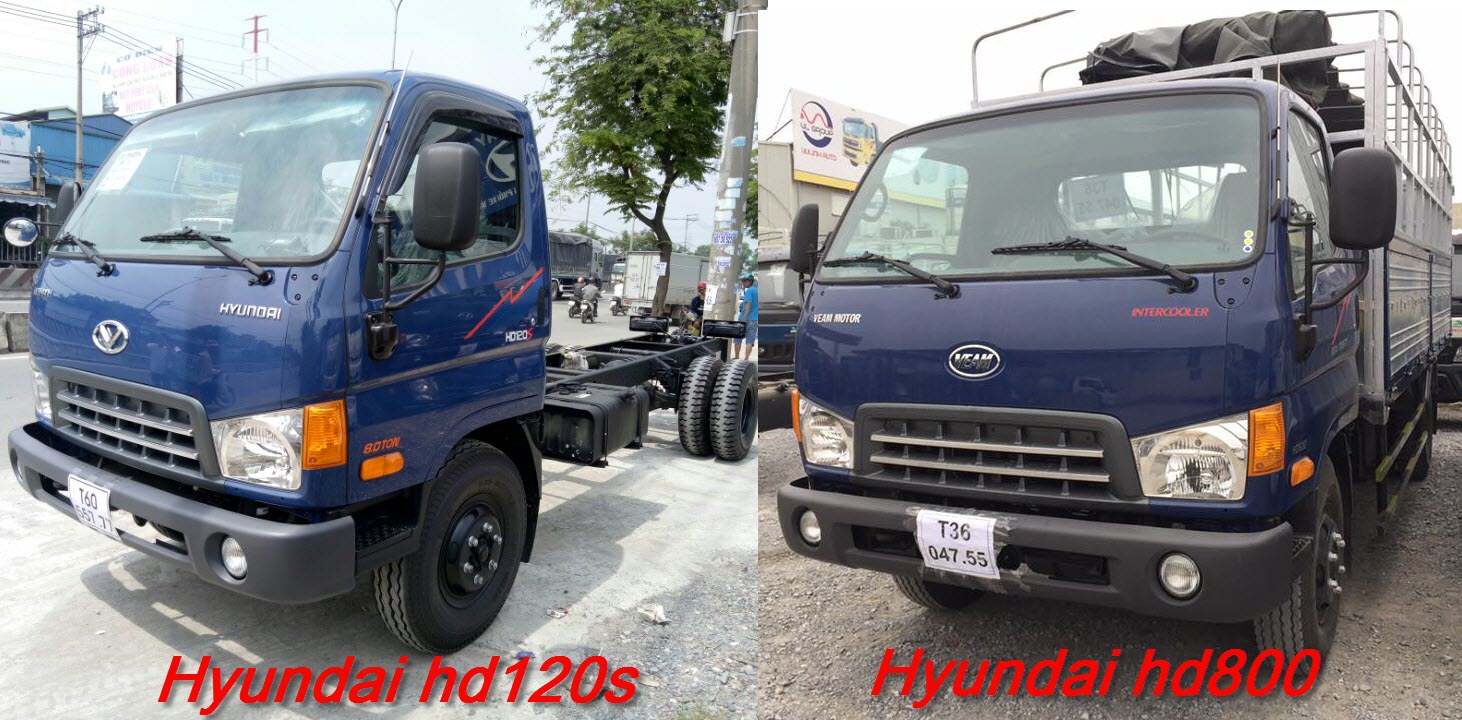 hyundai hd120s vơi hd800 nên chọn xe nào